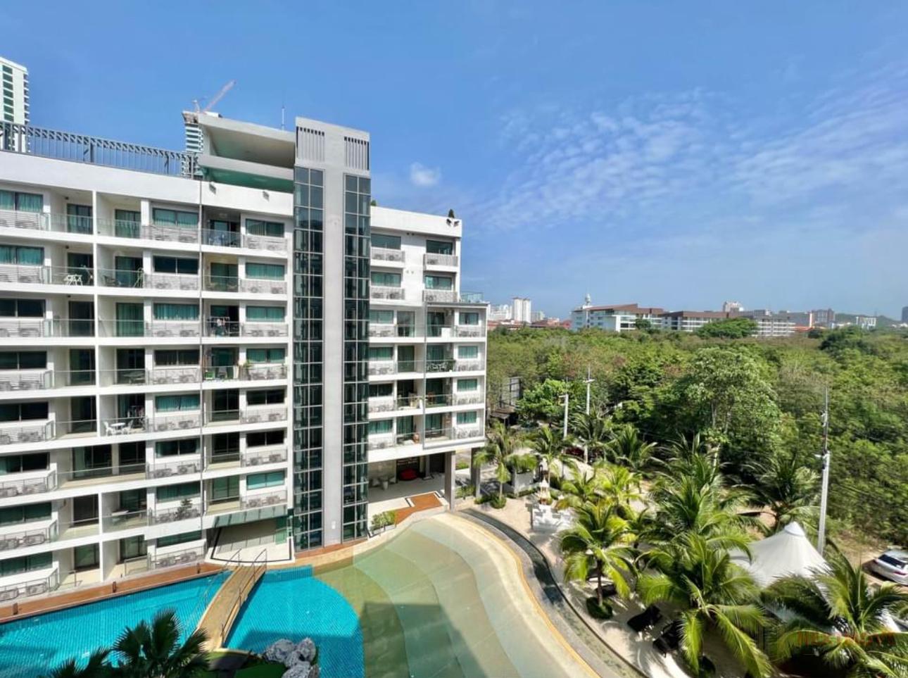 487497329_122101020224825003_3425297201016646314_n